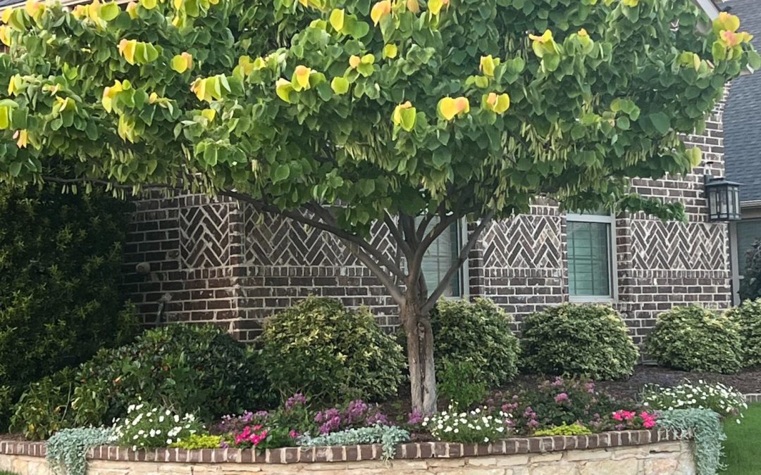 Waiting for the “Perfect” Market Often Costs More Than Buying at the Right Time