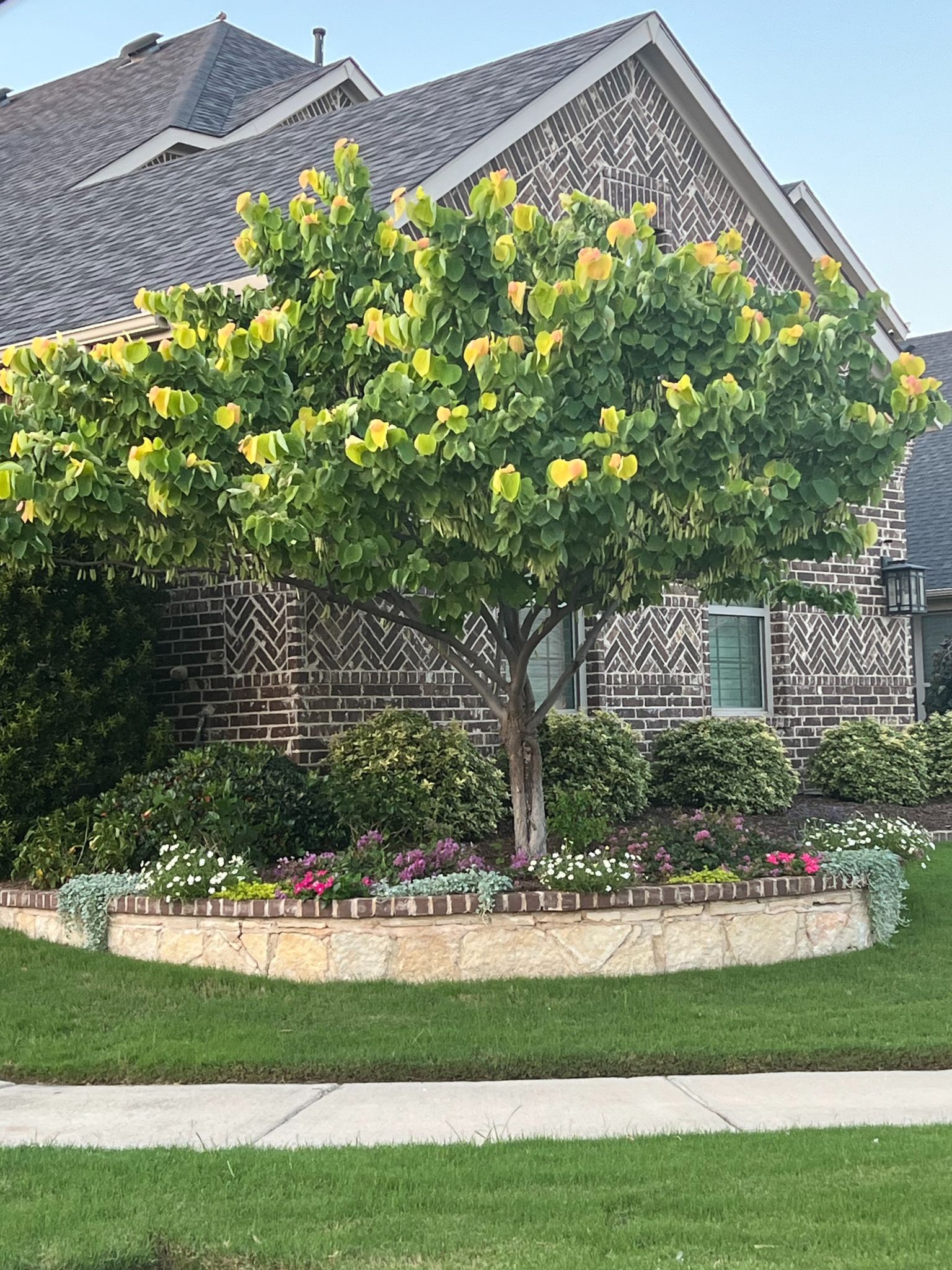 I69A5597 Ashley Hart