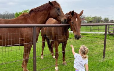The Fort Worth Experience People Don’t Expect Until They See It in Person