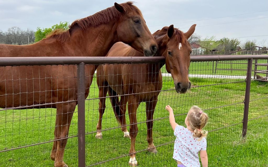 homes in Dallas Texas