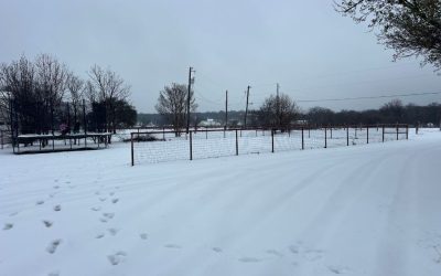 Braving the Storm: What a Snow Day Taught Me About Real Estate Closing Delays